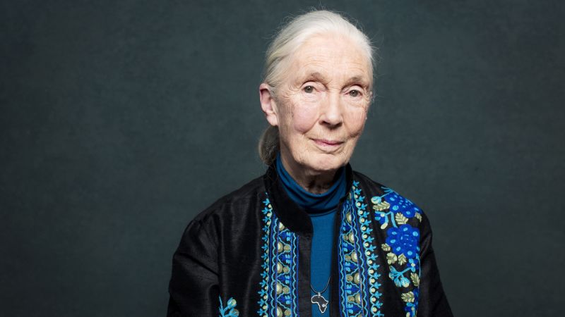 Jane Goodall’s life in pictures