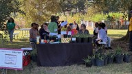The Walls Project celebrates Baton Rouge culture at Fall Fest BR 2025