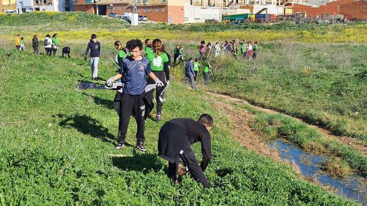 Regenerar el arroyo Charnecal y Las Mercedes, objetivos prioritarios