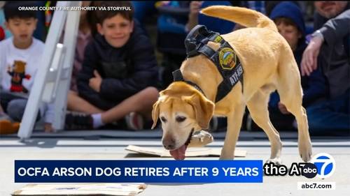OC Fire Authority arson detection K-9 Freedom retires after 7 hard