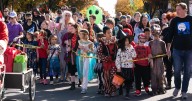 24 Things to Do in the DC Area This Week and Weekend