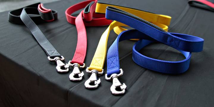 Etowah County Animal Shelter asking for dog leash donations