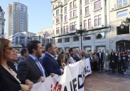 Asturias insta al Gobierno central a atender cuanto antes la demanda sobre el peaje