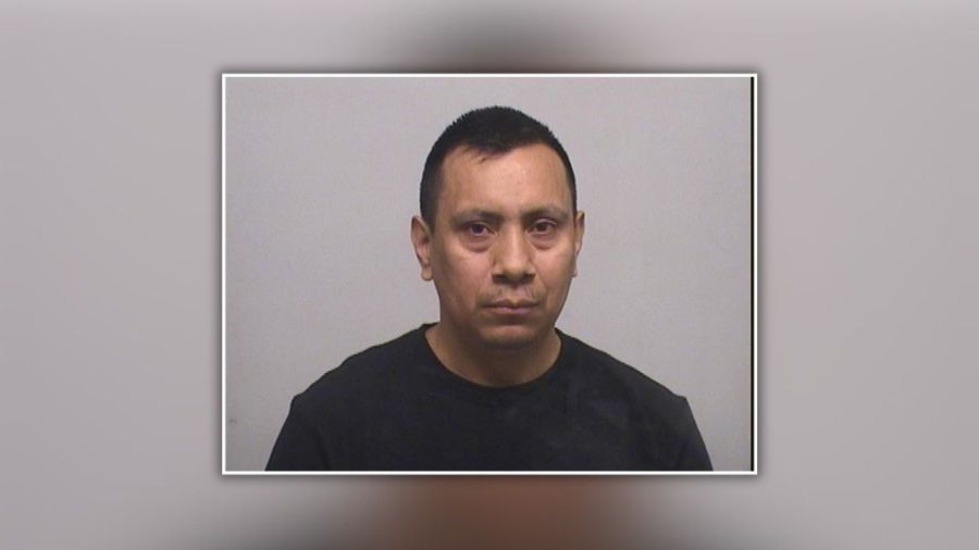 Man arrested after allegedly striking, killing 12