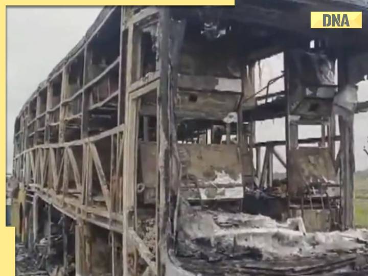 Kurnool Bus Accident: Eyewitnesses narrate escape from horrific fire, 'only two