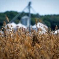 US farmers hit by trade war to get 'substantial' aid: Treasury chief