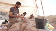 Paleontólogos del Conicet transmitirán en vivo la búsqueda de fósiles de dinosaurios: cuándo es y dónde verlo