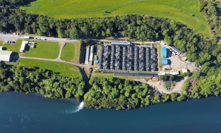 Vecinos en Valdivia molestos: Tribunal excluye a comunidades en reclamo contra salmonera del río San Pedro: ¿qué determinó?