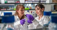 Discovery paves way for potential male birth control pill