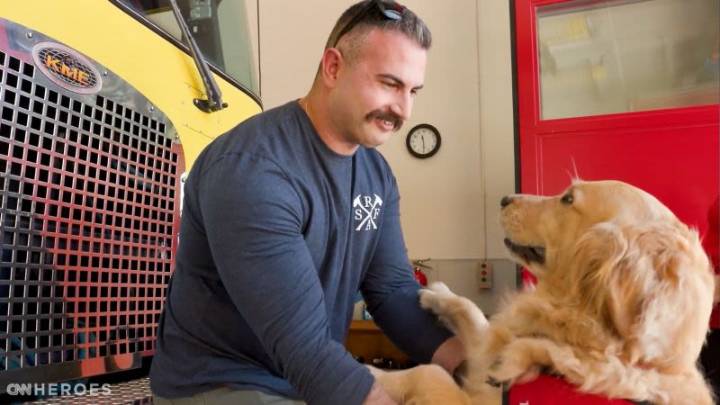 Así apoyan los perros de terapia a los servicios de emergencia en momentos de crisis