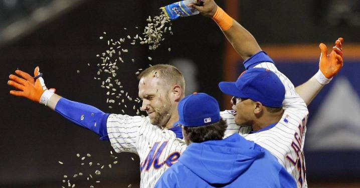 Professional Baseball Players Have Been All About Snacking on Sunflower Seeds Since the 1950s