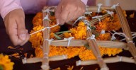 Aprende a crear arcos de cempasúchil para tu altar de Noche de Muertos