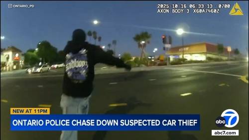 Ontario police chase down suspected car thief