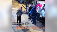 Termini Brothers Bakery vandalized, suspects sought