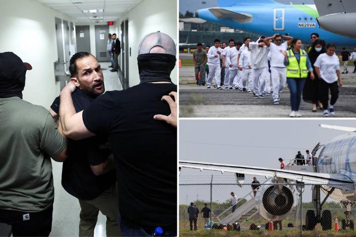 Trump admin on pace to shatter deportation record by end of first year: 'Just the beginning'