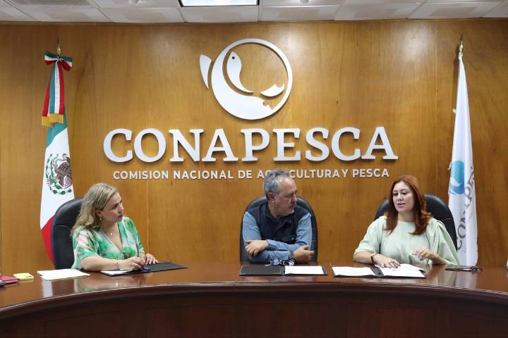 Más de 32 mil pescadores recibirán beneficios del gobierno de Sinaloa y Conapesca