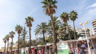 El primer verano de los "hippies" en La Lonja: entre la adaptación y el desafío en Alicante