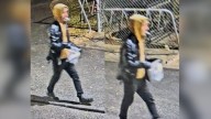 Edmonton police seek suspect after statue of religious figure vandalized on University of Alberta Francophone campus
