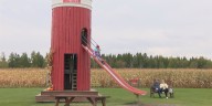 Simek’s Farm celebrates a century by inviting families out for fall fun