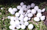 Diluvio, viento y granizo: así se hizo sentir la tormenta en el sudeste tucumano (video)