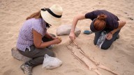 Yaiza presenta un documental que revela los hallazgos arqueológicos en San Marcial del Rubicón