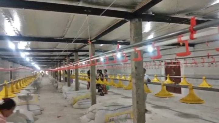 Titabor Youths Set Up Upper Assam’s First German-Tech Temperature Controlled Poultry Farm