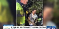Something Good: 15-year-old dog found after missing for days in Quincy