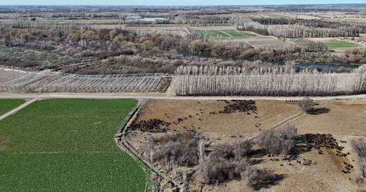 Otra agricultura es posible en el Alto Valle del río Negro