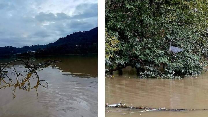 Pescadores de Huauchinango reportan pérdida del 90% por afectaciones en la presa de Necaxa