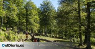 La ruta de senderismo en Huesca que recorre el mayor conjunto de árboles monumentales de todo Aragón