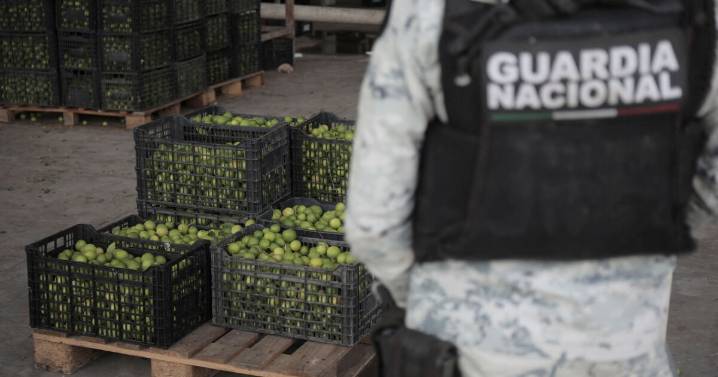 SSPC detiene a "Llanero" por extorsión a limoneros de Michoacán