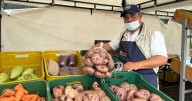 Mercados Campesinos en Bogotá: Una oportunidad para apoyar la producción local este 18 de octubre