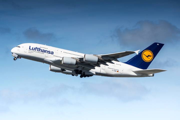 Indian national charged with stabbing teens on Lufthansa flight