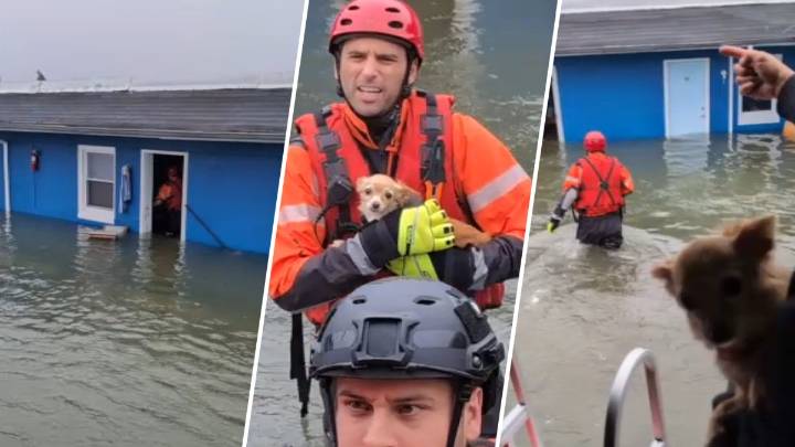 Caught on camera: Crews rescue dog, residents from flooded motel