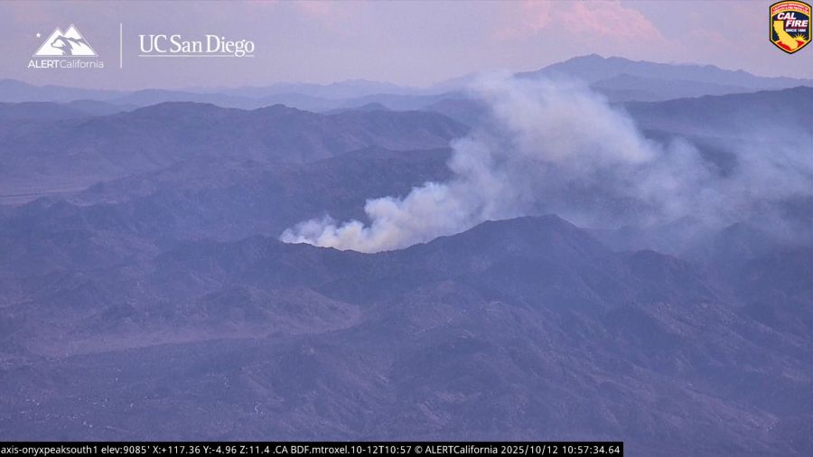 Crews battle 66-acre fire at Joshua Tree; campground evacuated