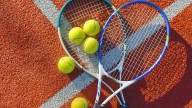 Manish Sureshkumar, Vaishnavi Adkar Win Fenesta Nationals