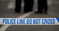 Thug hacks man with machete in front of punters during horror bar attack