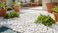 No es por estética: por qué conviene colocar piedras blancas en el patio de tu casa