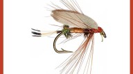 Catch Lance Hidy’s trout flies before they’re gone