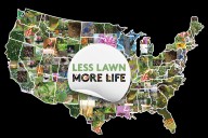 Join your neighbors — take the ‘Less Lawn More Life’ challenge!