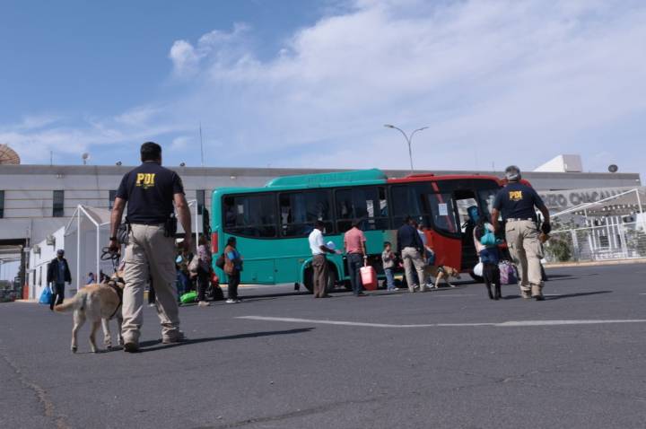 Incautan ketamina líquida avaluada en 105 millones de pesos en Chacalluta