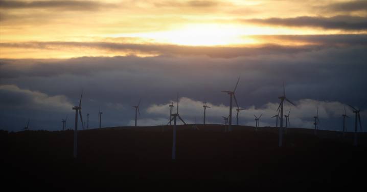 La patronal eólica, «estupefacta» por el fallo del TSXG que «genera riesgo estructural para la seguridad jurídica»