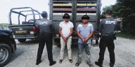 Aseguran 300 kilos de marihuana y detienen a dos hombres en operativo federal en Tabasco