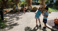 On the pumpkin path at botanical conservatory