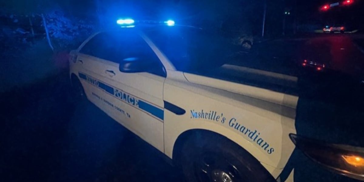 Security guard shoots, injures felon armed with shotgun accused of overnight Halloween hold