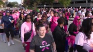 Race for the Cure: Dallas and North Texas | FOX 4 Dallas-Fort Worth