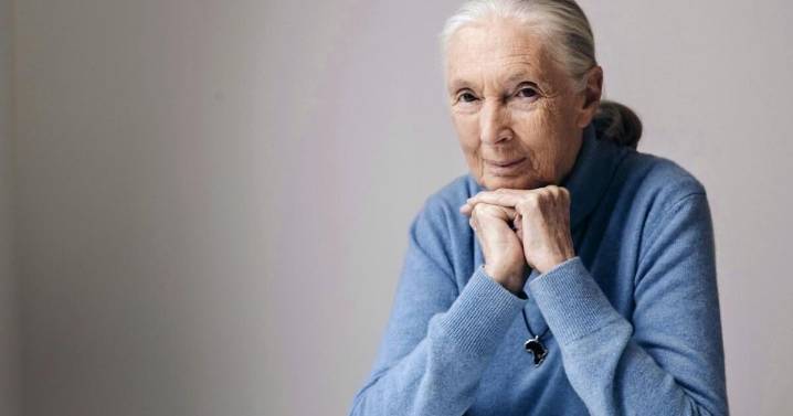 Jane Goodall: 5 reasons for hope in the face of eco