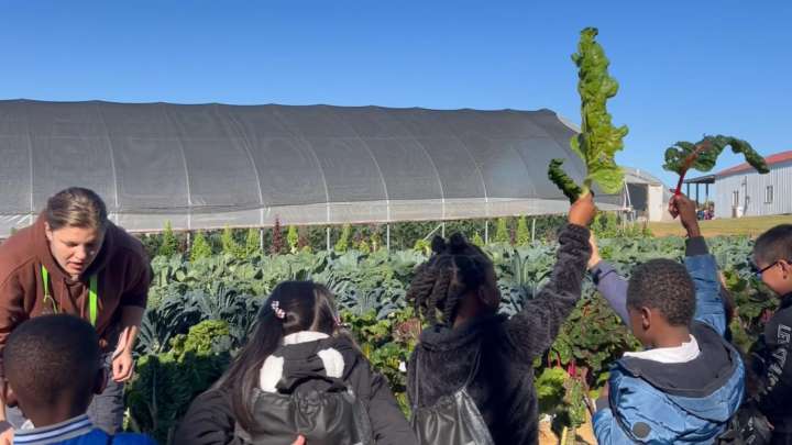 BGISD students learn all things agriculture