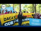 Federal government expected to start accepting new DACA applications