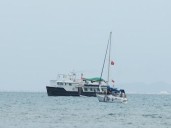 Flotilla Internacional en Riesgo de Intervención Militar: Gaza
